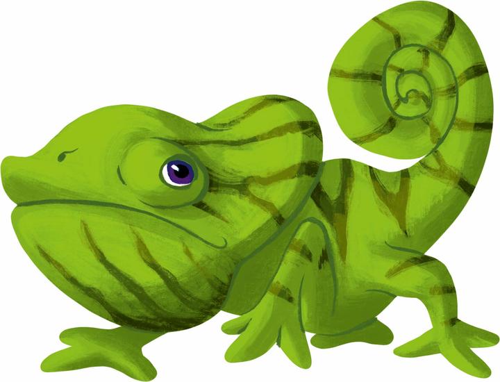 Immagine prodotto Repos Production Concetto Bambini - Animaux (Francese)