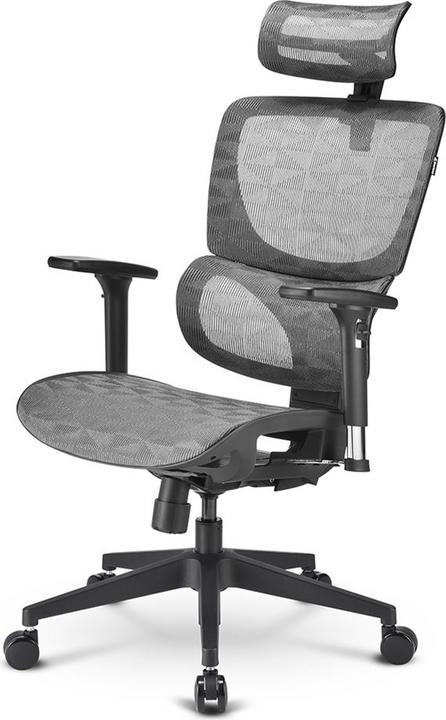 Sharkoon OfficePal C30M office chair (grey)