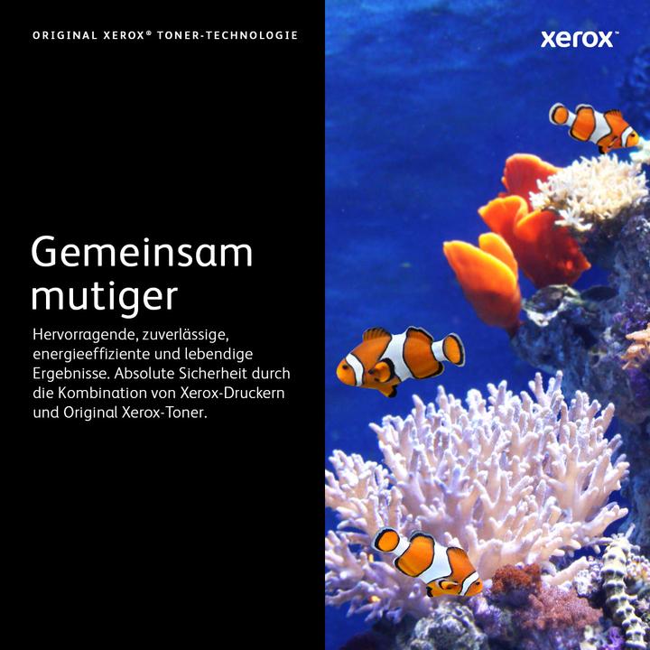 Actual product image Xerox 106r02245 (C)