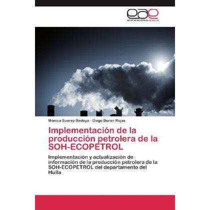 Implementación de la producción petrolera de la SOH-ECOPETROL, Ratgeber