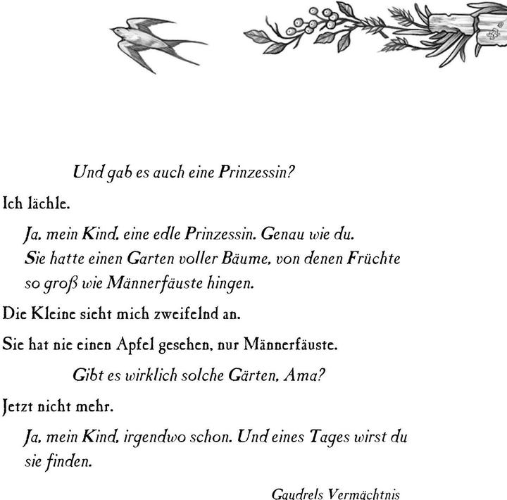 Nährwerte und Zutaten Pearson:Morrighan. Wie alles begann (Deutsch, Mary E. Pearson, 2024)