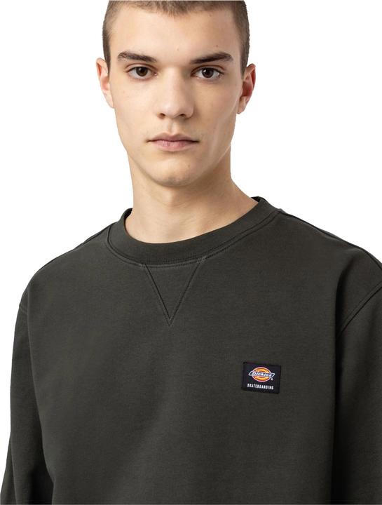 Produktbild Dickies Mount Vista Crew (L)