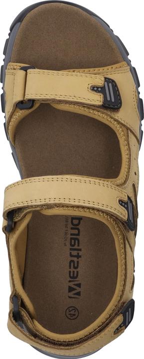 Actual product image Westland 17501-TE508 (44)