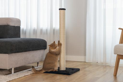 Image du produit Beeztees Bz Arbre à Chat Gina XL Noir 4 (90 cm, Noir)