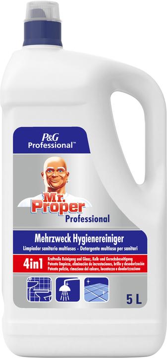 Meister Proper MR. PROPER Professional 4 in 1 Allzweckreiniger 5,0 l