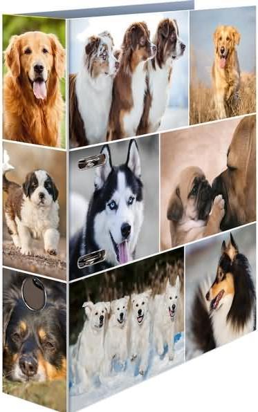 Produktbild HERMA Ordner A4 Motiv (A4, 70 mm, 1 Stk.)