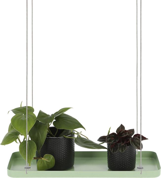 Image du produit Esschert Design Deko-Tablett