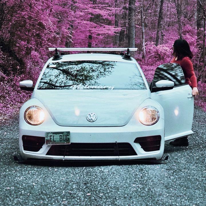 Actual product image SeaSucker Roof rack