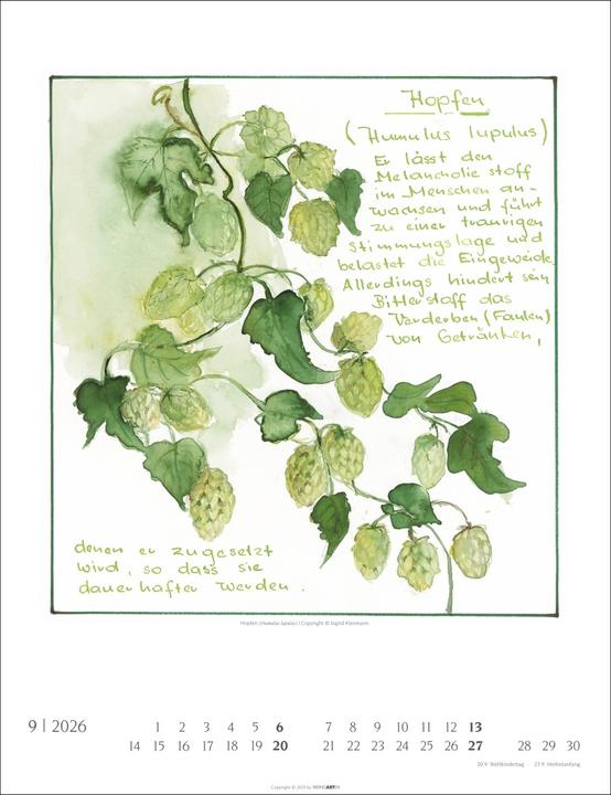 Actual product image Hildegard von Bingen Kalender 2026 (30 x 39 cm)