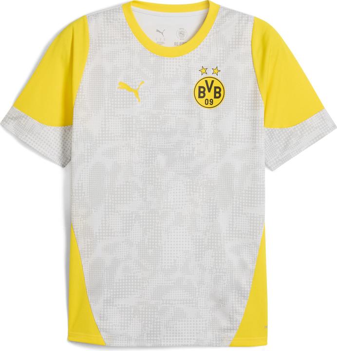 Silver Mist-Faster Yellow