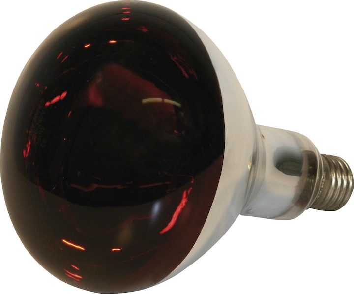 Kerbl Lampe chauffante (150 W)