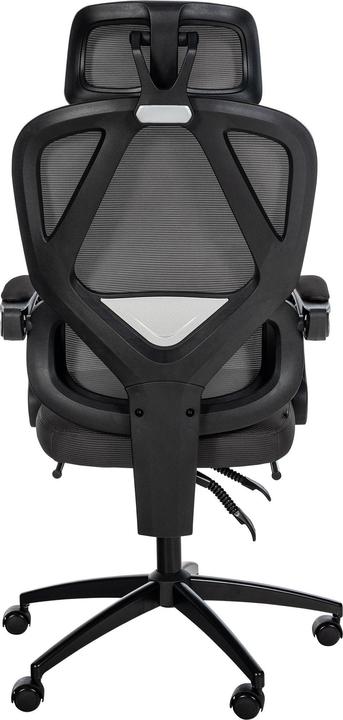 Actual product image CLP Gander (47 - 57 cm)