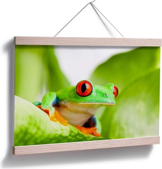 Immagine prodotto Trenddeko Petardo (120 x 80 cm)