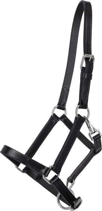 Produktbild Qhp Lederhalfter für Pferde