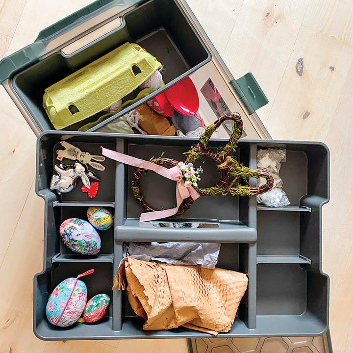 Actual product image Rotho Evo (25 cm, 1x)