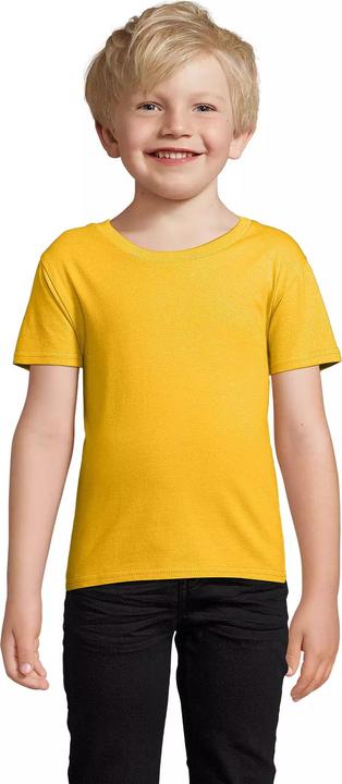 Produktbild Sol's Pioneer