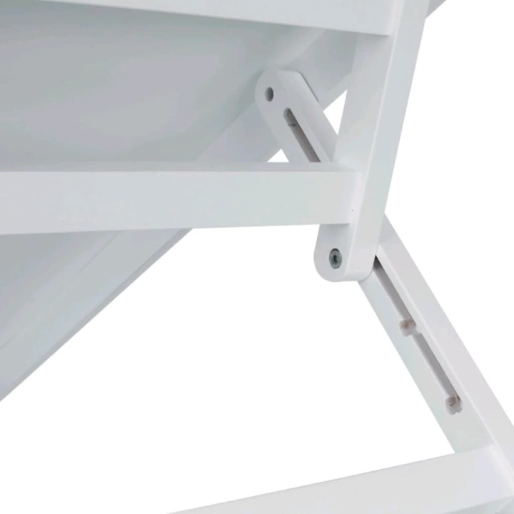Actual product image Trixie Ramp, 3-fold height adjustable (Dog, Foldable)