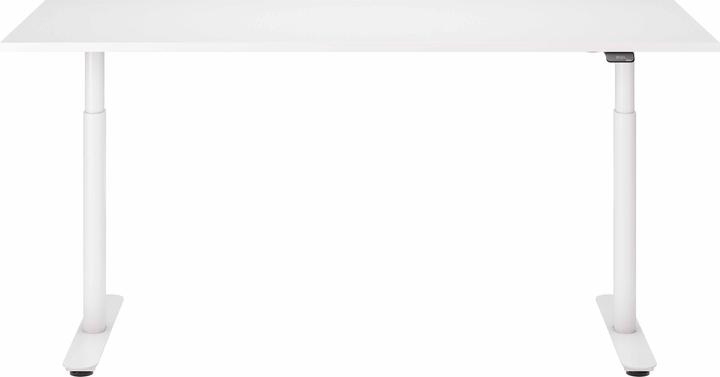 Actual product image ofinto Rise