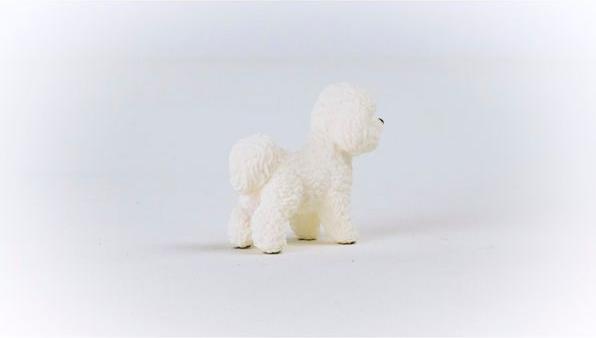 Immagine prodotto Schleich Bichon Frisé