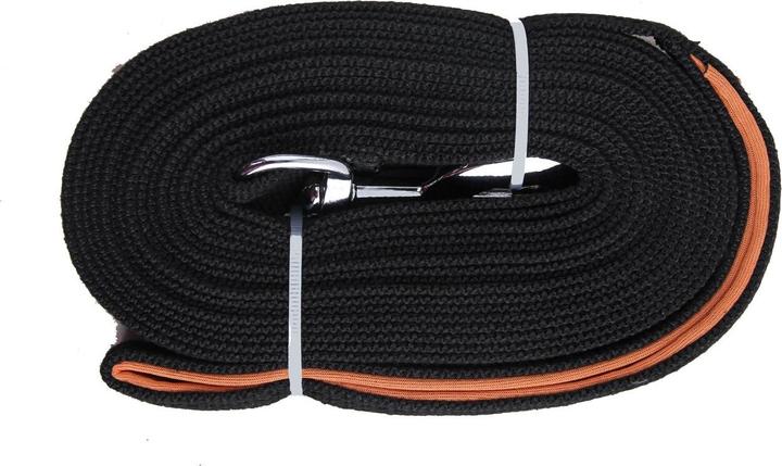 Actual product image Pawise Flat Leash 15 meter (Upbringing)