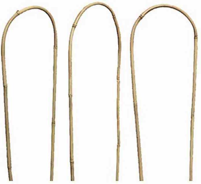 Siena Garden Rankhilfe, Wachstumshilfe, bambus, 60x20x2,5cm, 436427