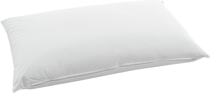 Swiss Dream by billerbeck CLC 90 Piuma Pillow