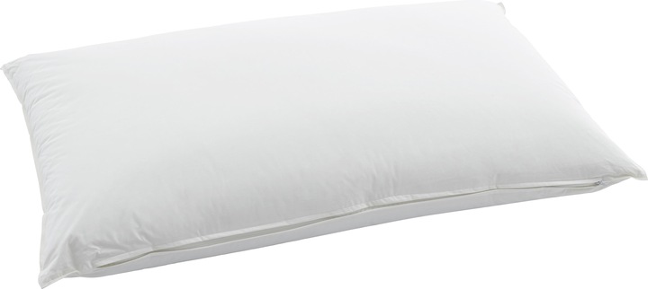Immagine prodotto Swiss Dream by billerbeck Cuscino Piuma (60 x 90 cm)