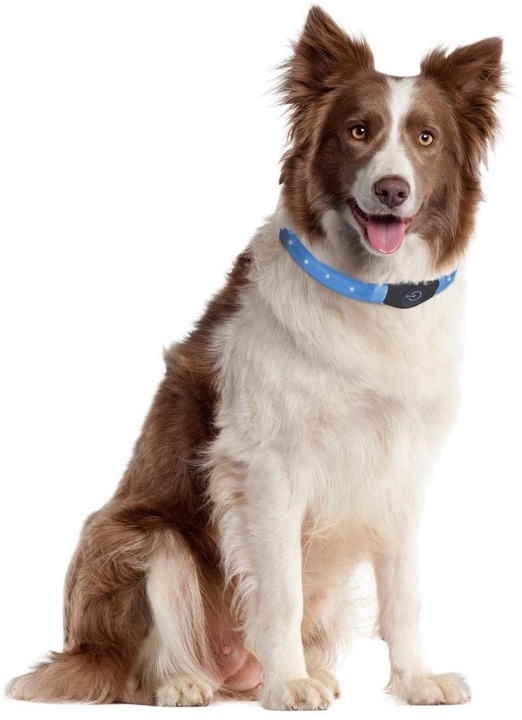 Image du produit Karlie Collier de chien à poils longs Visio Light Led (Chien, Promenade)
