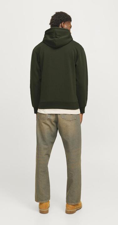 Produktbild Jack & Jones Gedruckt Kapuzenpullover Kapuzenpullover (S)