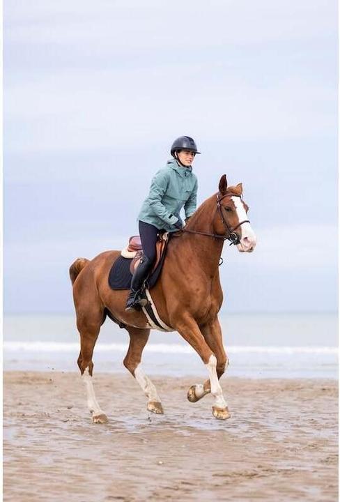 Immagine prodotto Horse Pilot Essential (M)