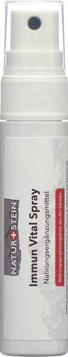 Produktbild Naturstein Vitamin Spray Immun Vital (1 Stück, Spray, 44 g)