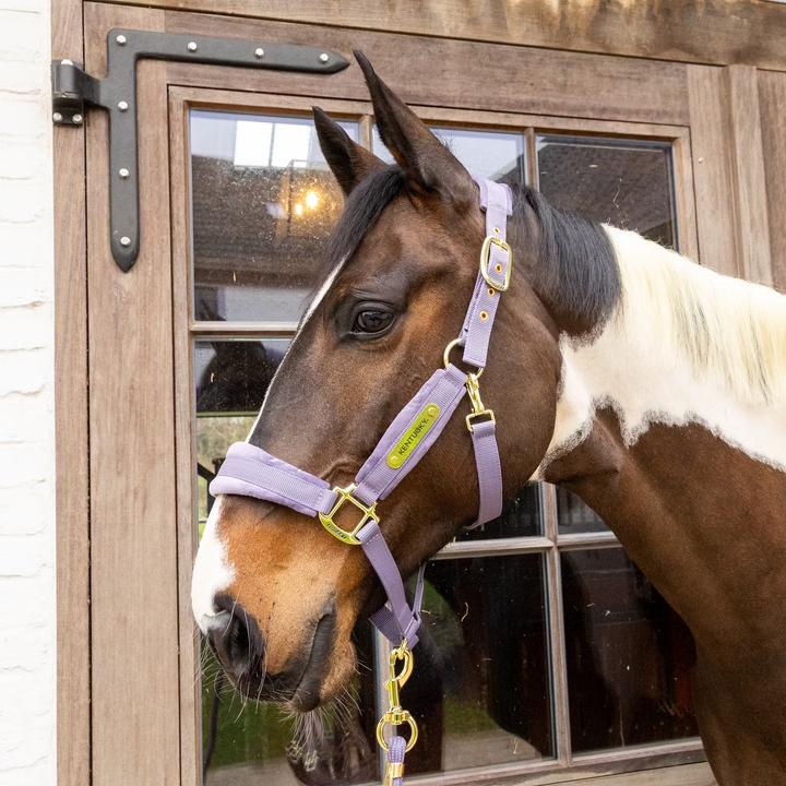 Immagine prodotto Kentucky Horsewear Cavezza in nylon