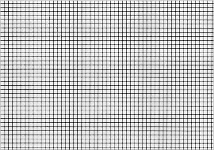 Biella Karteikarten kariert A8 (A8, 200 g/m², 200 x)
