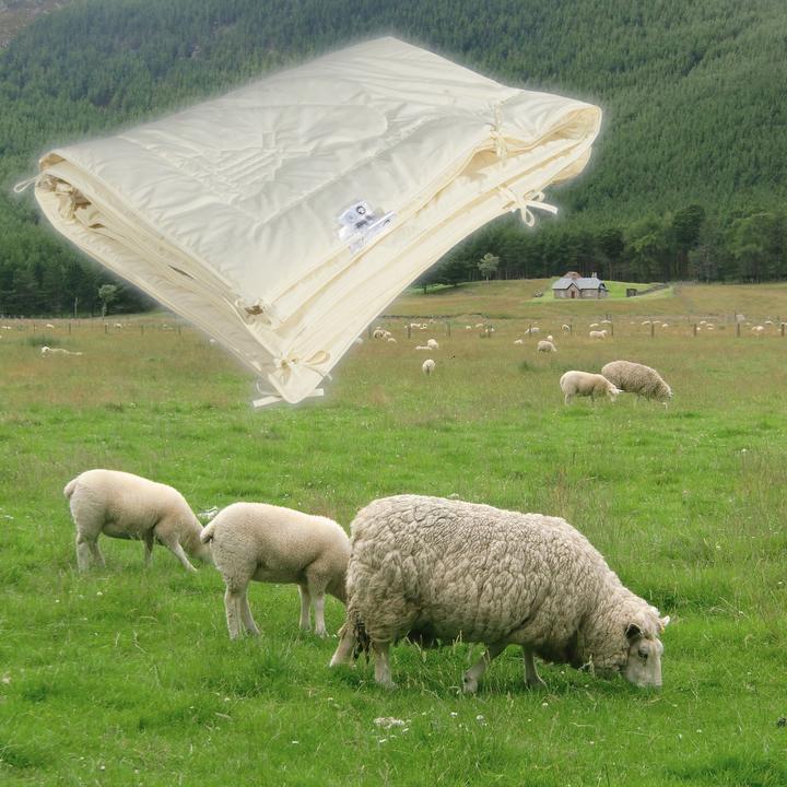 Actual product image Erwin Müller Bio Hanf (1200 g, 200x200 cm)