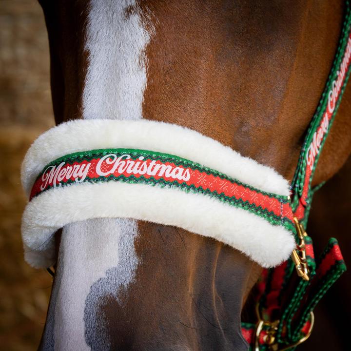 Immagine prodotto Harry's Horse Christmas