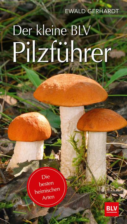 Produktbild Der kleine Pilzführer (Deutsch, Ewald Gerhardt, 2018)