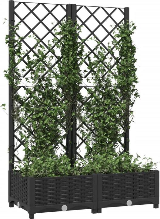 Immagine prodotto vidaXL Gartenpflanzgefäss