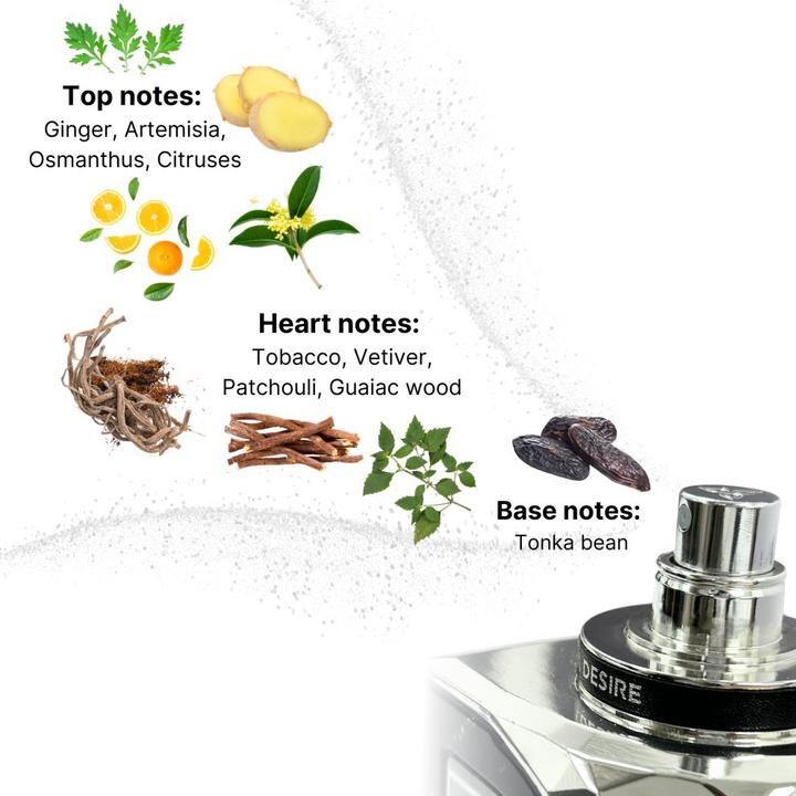 Produktbild Auraa Desire Homme Intensus Extrait de Parfum 100ml von - Luxuriöser Unisex-Duft (Extrait De Parfum, 100 ml)