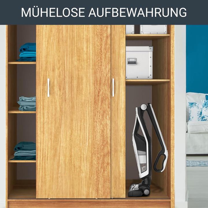 Actual product image Rowenta Dual Force