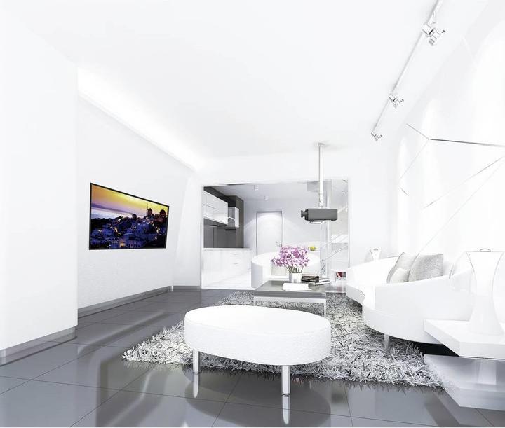 Image du produit Reflecta Support de plafond Tapa L 700-1200mm (Plafond)