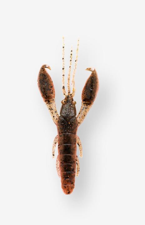 Immagine prodotto Caperlan Granchio in gomma con attrattivo (6 cm)