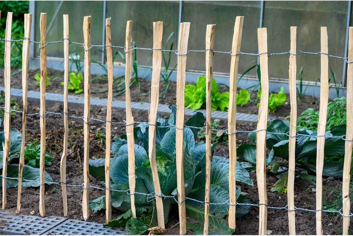 Actual product image Dobar Picket fence hazelnut 90x500cm