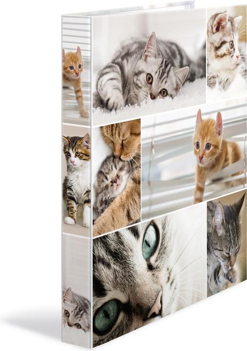 Actual product image HERMA A4 ring binder motif (A4, 35 mm, 1 pcs.)