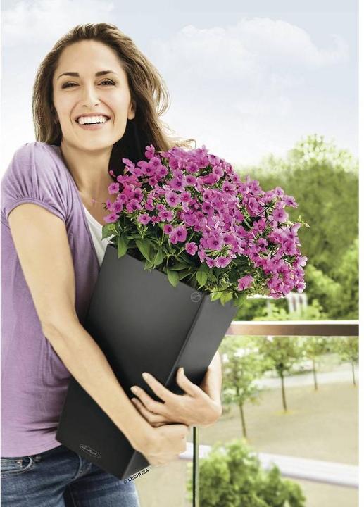 Actual product image Lechuza Cubico Color (29.50 cm)