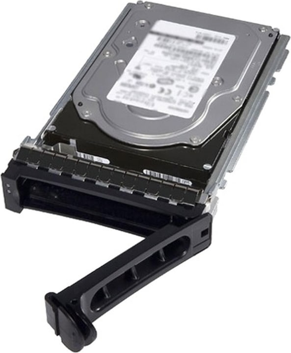 Dell HD 600GB, SAS 12Gbps 15krpm (0.60 TB, 2.5")