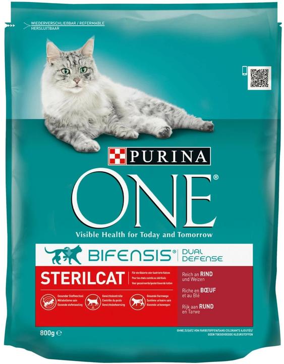 Purina ONE Sterilcat Beef (Adult, Senior, 1 pcs., 800 g)