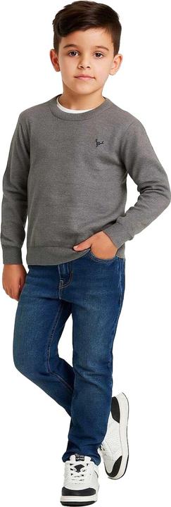 Image du produit Minoti - Pull motif/style brodé - Garçon (116)