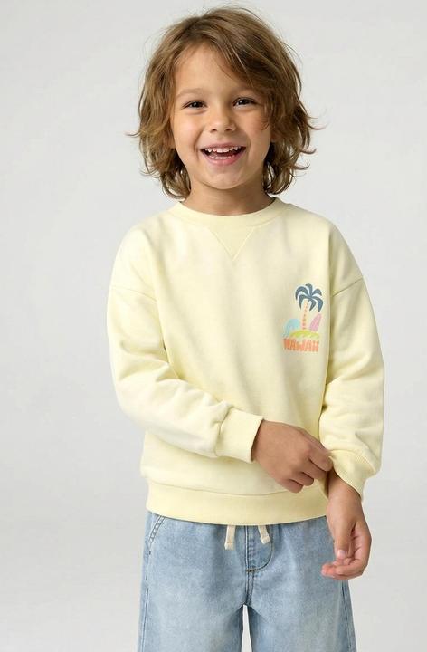 Produktbild Vertbaudet Jungen Sweatshirt mit Sommer-Motiv (140)
