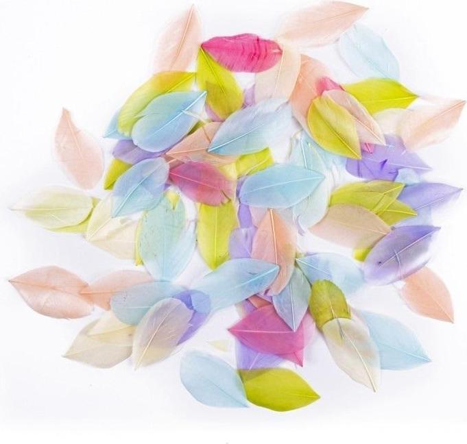 Gänsefedern Pastell 6cm 5g