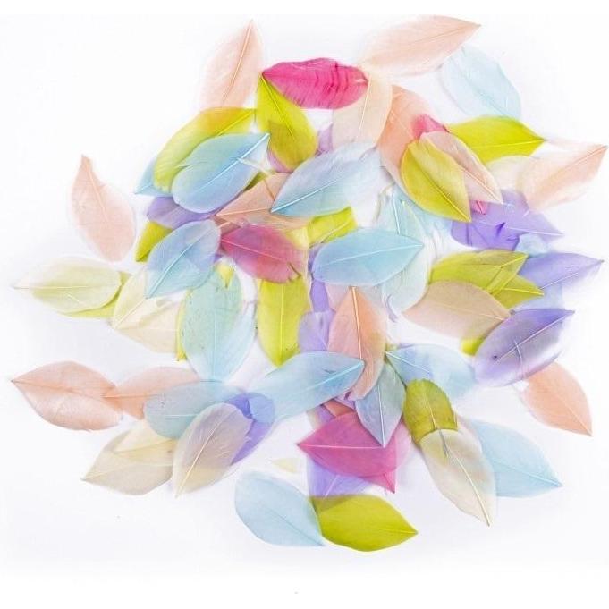 Gänsefedern Pastell 6cm 5g (54639786)